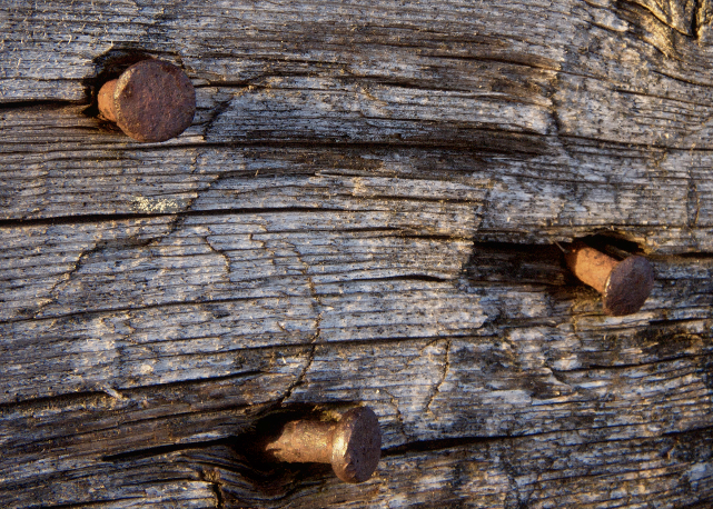 nail in plank